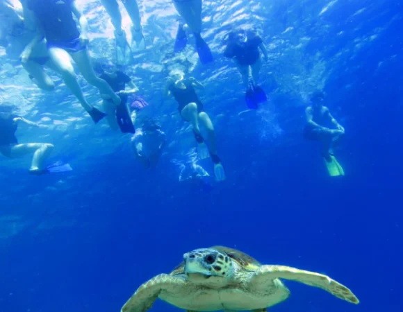 Private Tour: 5 Amazing Reasons to Enjoy Swimming with Turtles and Snorkeling at Abu Dabbab Beach – Marsa Alam