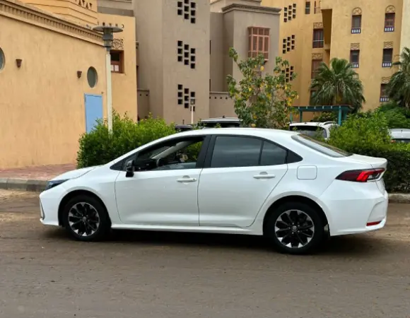 Private Taxi from Hurghada to Luxor 8 Everything You Need to Know Before Booking Your Private Transfer